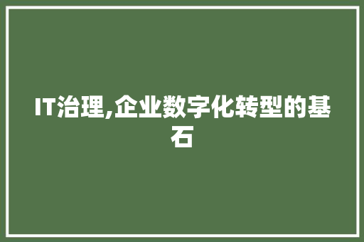 IT治理,企业数字化转型的基石 GoogleSEO