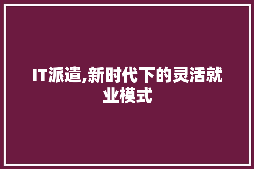 IT派遣,新时代下的灵活就业模式 神马SEO