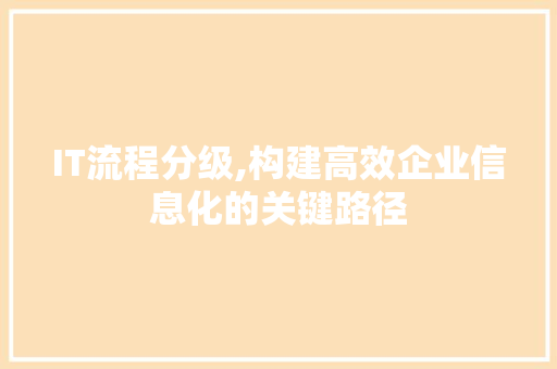 IT流程分级,构建高效企业信息化的关键路径 神马SEO