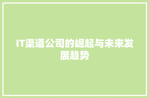 IT渠道公司的崛起与未来发展趋势