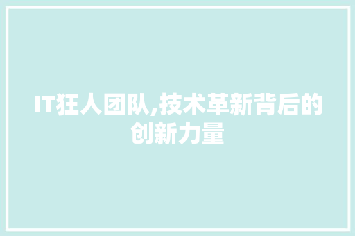 IT狂人团队,技术革新背后的创新力量