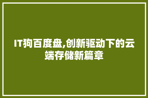 IT狗百度盘,创新驱动下的云端存储新篇章