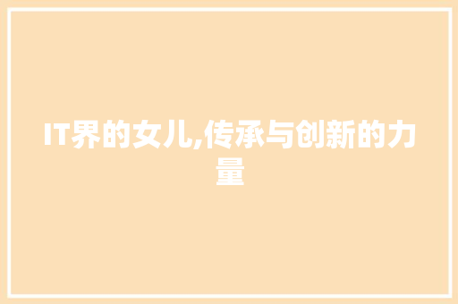 IT界的女儿,传承与创新的力量 搜狗SEO