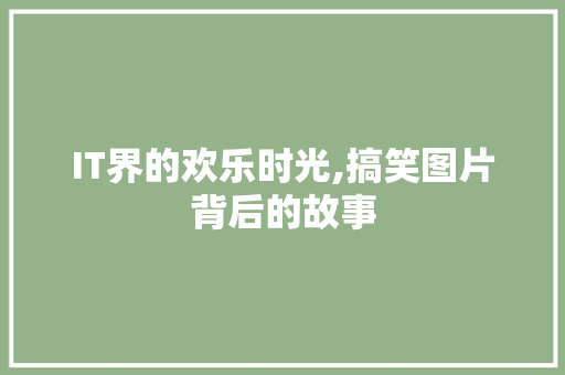 IT界的欢乐时光,搞笑图片背后的故事
