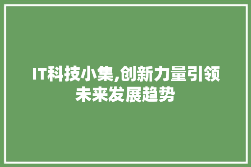 IT科技小集,创新力量引领未来发展趋势