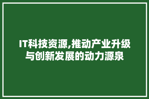 IT科技资源,推动产业升级与创新发展的动力源泉