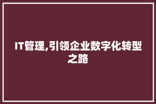 IT管理,引领企业数字化转型之路