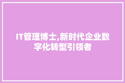 IT管理博士,新时代企业数字化转型引领者 百度SEO