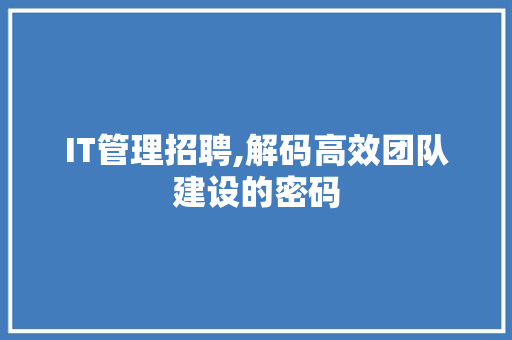 IT管理招聘,解码高效团队建设的密码 GoogleSEO