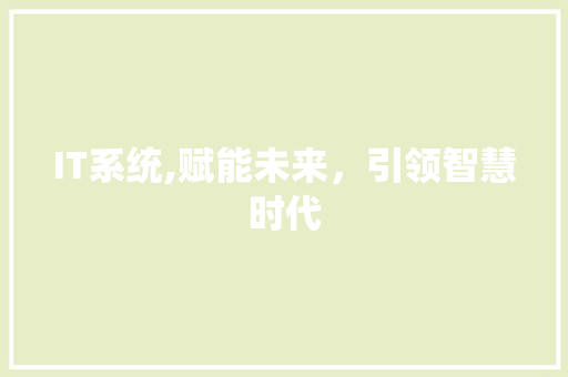 IT系统,赋能未来，引领智慧时代