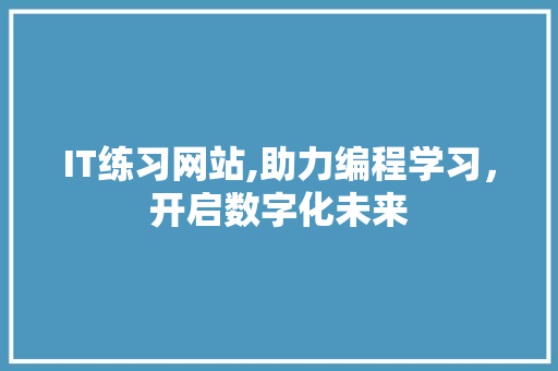IT练习网站,助力编程学习，开启数字化未来