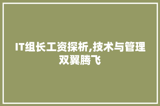 IT组长工资探析,技术与管理双翼腾飞 GoogleSEO