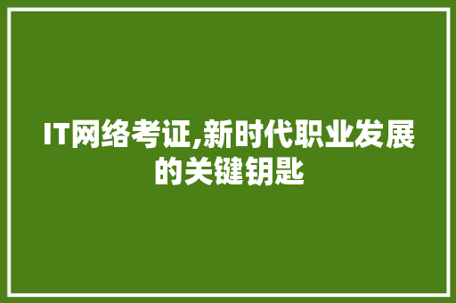 IT网络考证,新时代职业发展的关键钥匙