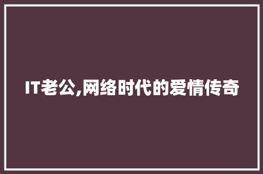 IT老公,网络时代的爱情传奇