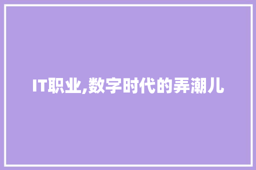 IT职业,数字时代的弄潮儿