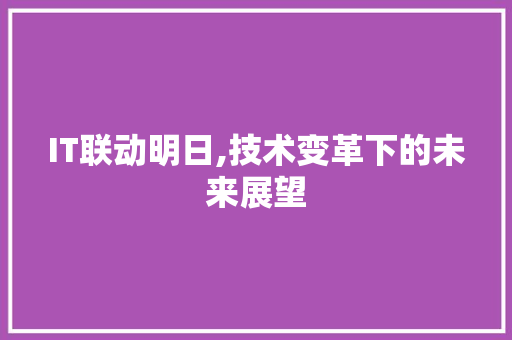 IT联动明日,技术变革下的未来展望