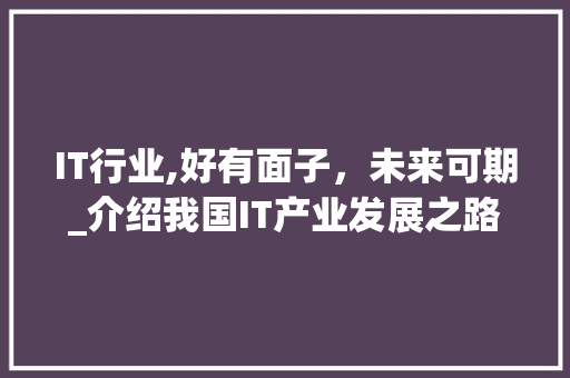 IT行业,好有面子，未来可期_介绍我国IT产业发展之路