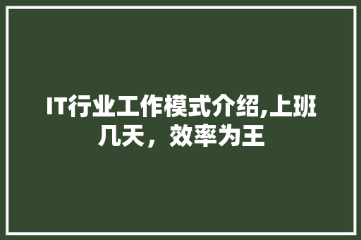 IT行业工作模式介绍,上班几天，效率为王