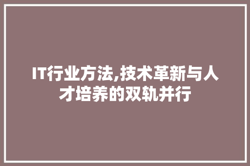 IT行业方法,技术革新与人才培养的双轨并行