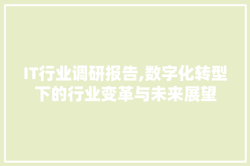 IT行业调研报告,数字化转型下的行业变革与未来展望 GoogleSEO