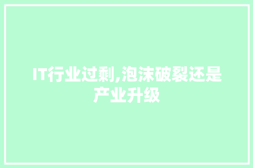 IT行业过剩,泡沫破裂还是产业升级 搜狗SEO