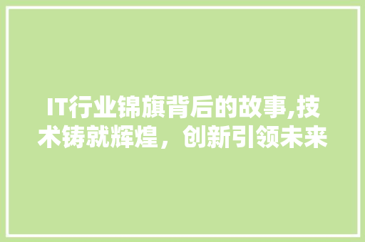 IT行业锦旗背后的故事,技术铸就辉煌，创新引领未来 搜狗SEO
