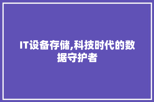 IT设备存储,科技时代的数据守护者 GoogleSEO