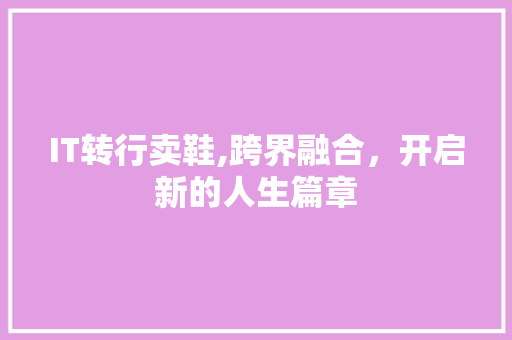 IT转行卖鞋,跨界融合，开启新的人生篇章 必应SEO