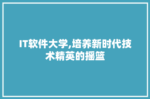 IT软件大学,培养新时代技术精英的摇篮 百度SEO