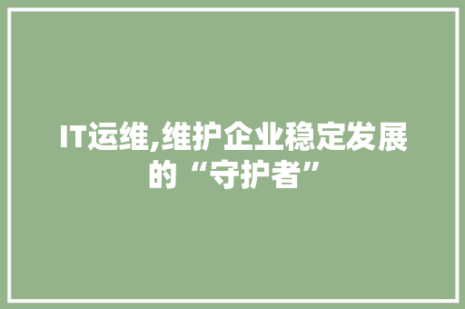 IT运维,维护企业稳定发展的“守护者” GoogleSEO