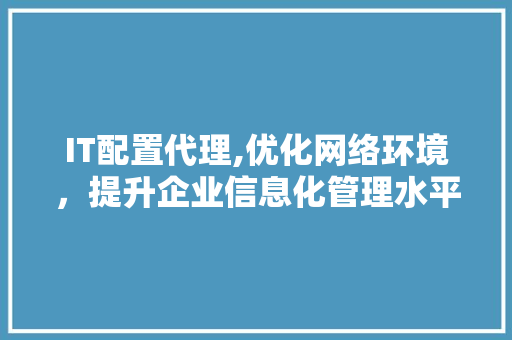 IT配置代理,优化网络环境，提升企业信息化管理水平 GoogleSEO
