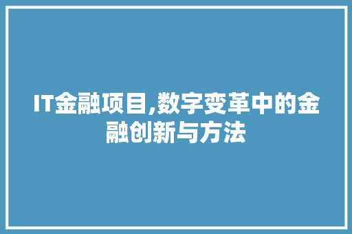 IT金融项目,数字变革中的金融创新与方法 GoogleSEO