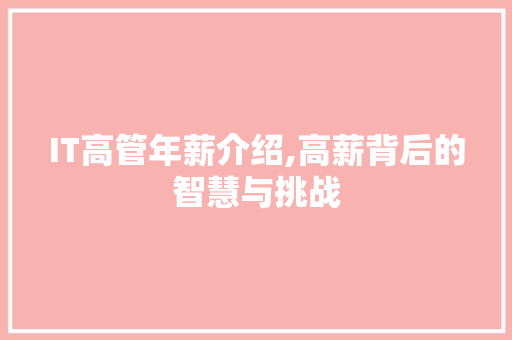 IT高管年薪介绍,高薪背后的智慧与挑战