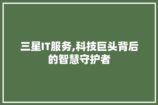 三星IT服务,科技巨头背后的智慧守护者
