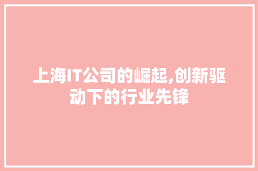 上海IT公司的崛起,创新驱动下的行业先锋