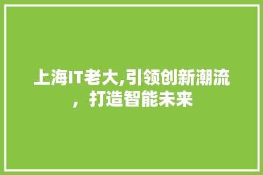 上海IT老大,引领创新潮流，打造智能未来 必应SEO