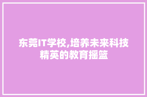 东莞IT学校,培养未来科技精英的教育摇篮