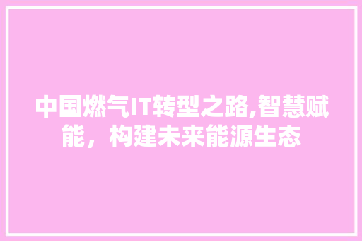 中国燃气IT转型之路,智慧赋能，构建未来能源生态