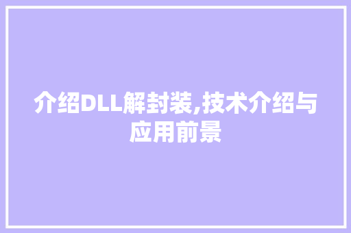 介绍DLL解封装,技术介绍与应用前景