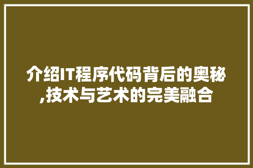 介绍IT程序代码背后的奥秘,技术与艺术的完美融合