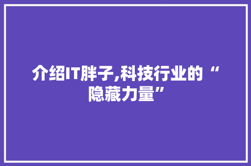 介绍IT胖子,科技行业的“隐藏力量”