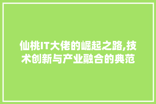 仙桃IT大佬的崛起之路,技术创新与产业融合的典范