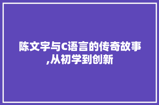 陈文宇与C语言的传奇故事,从初学到创新 百度SEO