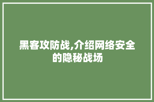 黑客攻防战,介绍网络安全的隐秘战场 神马SEO