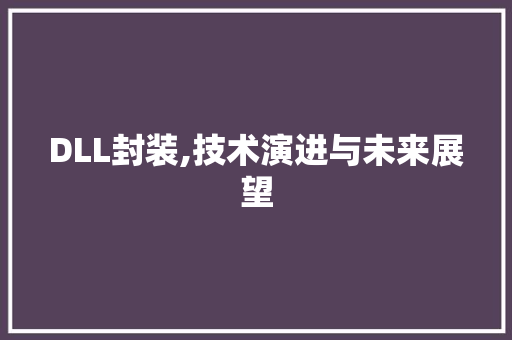 DLL封装,技术演进与未来展望
