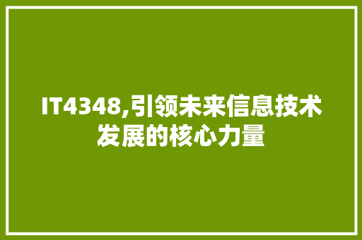 IT4348,引领未来信息技术发展的核心力量 百度SEO