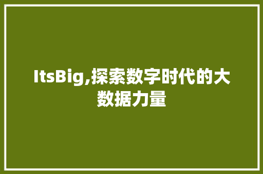 ItsBig,探索数字时代的大数据力量