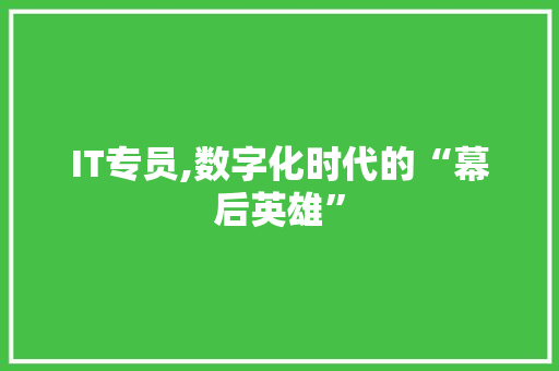 IT专员,数字化时代的“幕后英雄” 必应SEO
