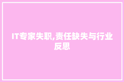 IT专家失职,责任缺失与行业反思
