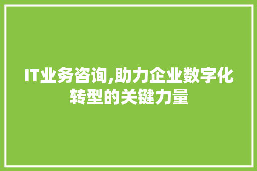 IT业务咨询,助力企业数字化转型的关键力量
